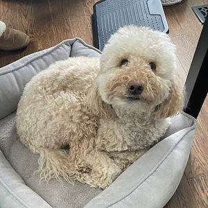 Meet your Posher, Ellie